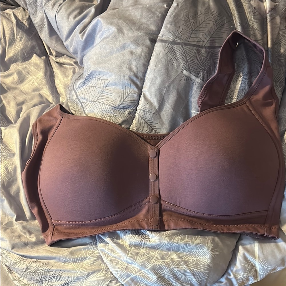 Daisy Brown T-Shirt Bra with Molded Cups